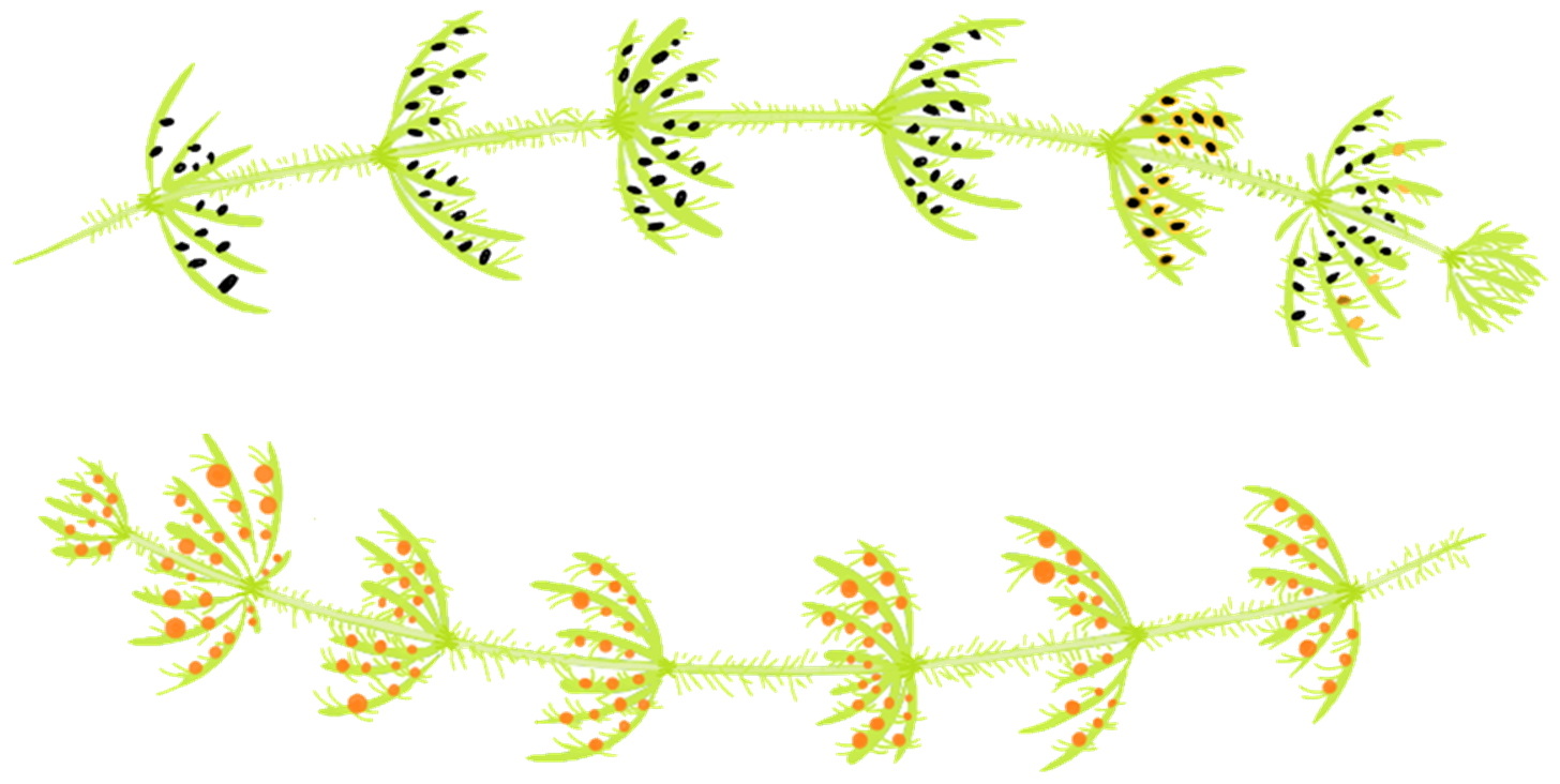 Logo ProPartS