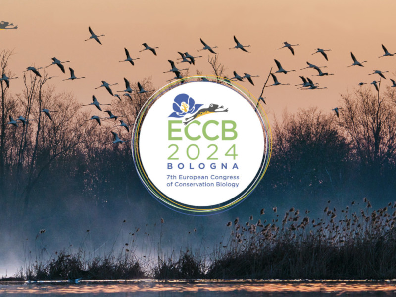 Congress of Conservation Biology - Bologna